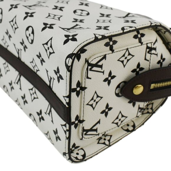 Louis Vuitton  Speedy Amazon PM Monogram Canvas Crossbody Bag White Chocolate - Picture 10 of 14